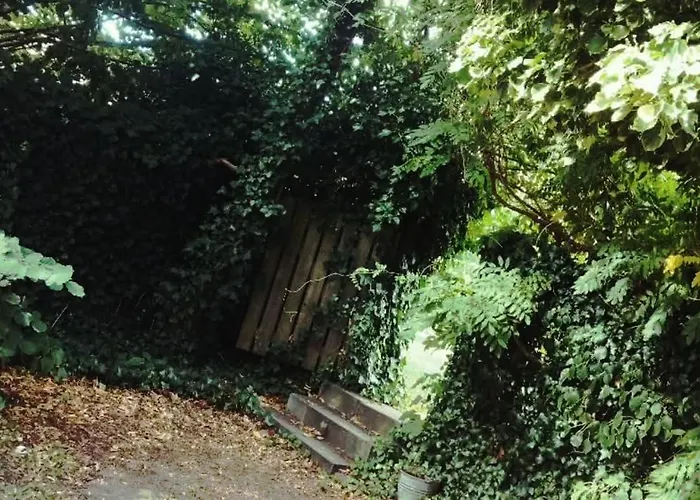 Greenbrook Homes - Jungle Suite